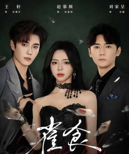 雀食（83集全）王轩＆赵慕颜＆刘家呈-紫橙资源网