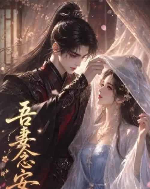 吾妻念安（24集全）动漫-紫橙资源网