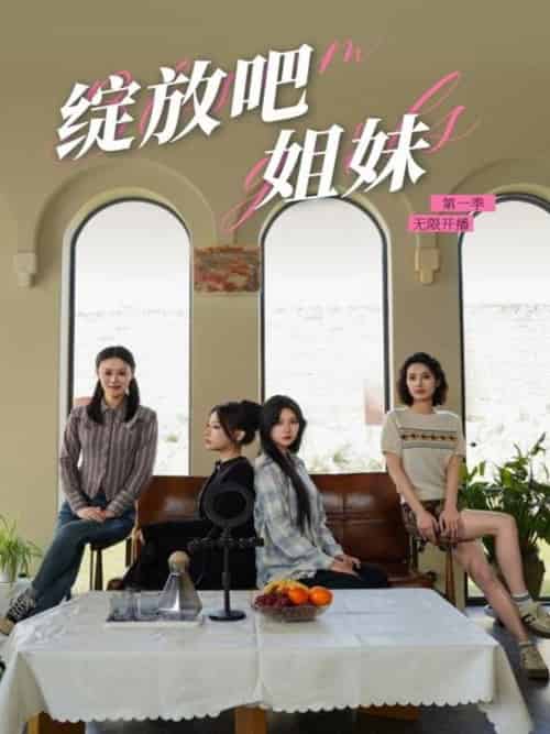 绽放吧姐妹之无限开播（16集全）徐漫宁 - 紫橙短剧