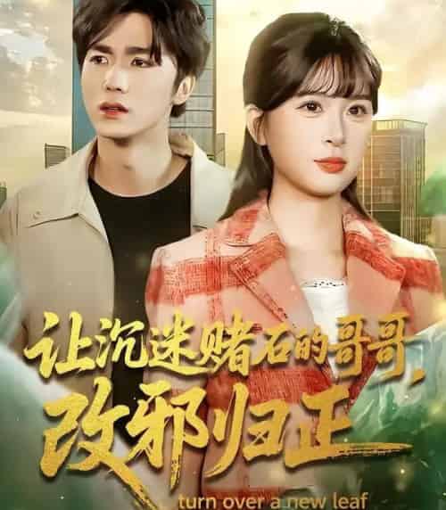 让沉迷赌石的哥哥，改邪归正（50集全）陈哲＆李慕瑶-紫橙资源网