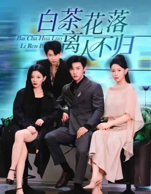 白茶花落离人（51集全）沈国洋＆林初-紫橙资源网