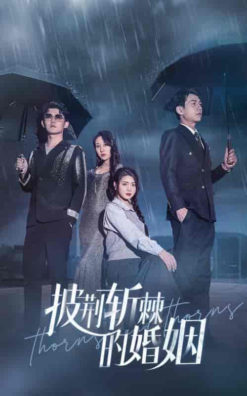 披荆斩棘的婚姻（70集）-紫橙资源网