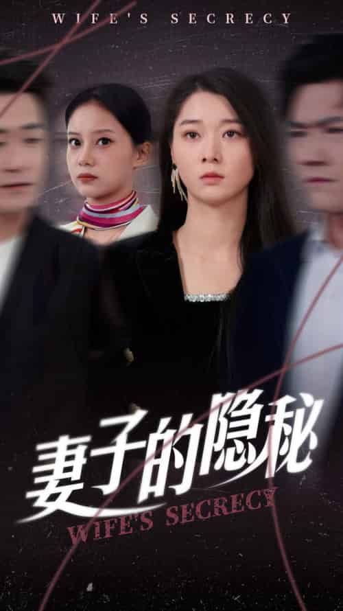 妻子的隐秘（50集全）李轩儿-紫橙资源网