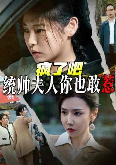 疯了吧统帅夫人你也敢惹（33集全）-紫橙资源网