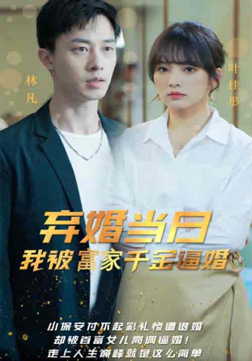 弃婚当日，我被富家千金逼婚（98集全）林凡＆叶佳彤-紫橙资源网