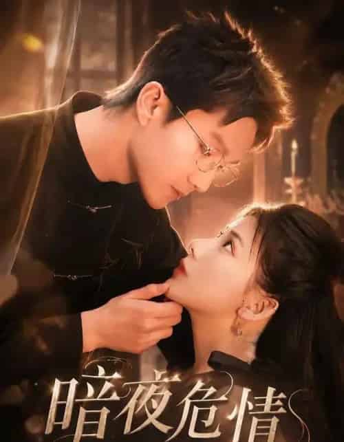 暗夜危情，偏执总裁的掌心娇（70集全）予黎＆李乐川-紫橙资源网