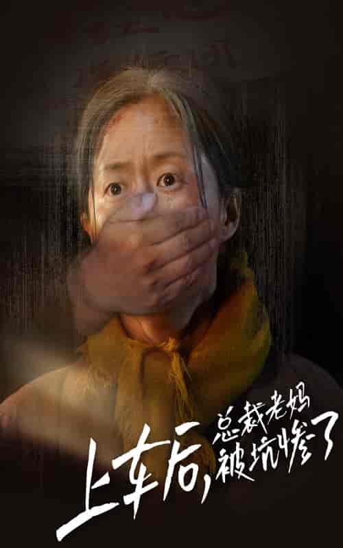 上车后，总裁老妈被坑惨了（30集全）-紫橙资源网