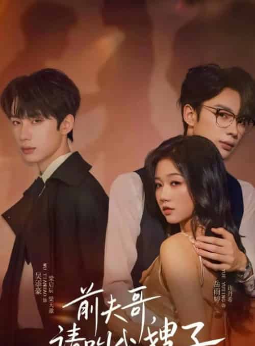 前夫哥请叫我嫂子（40集全）岳雨婷＆吴添豪-紫橙资源网