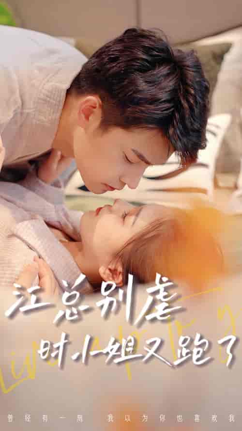 江总别虐，时小姐又跑了（长篇） - 紫橙短剧