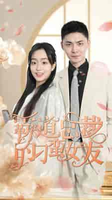 霸道总裁的刁蛮女友(73集)-紫橙资源网