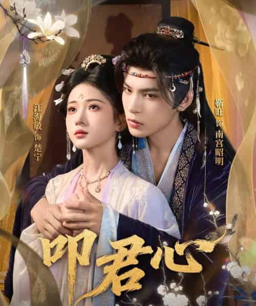 叩君心(64集全)靳旺&汪海敏-紫橙资源网