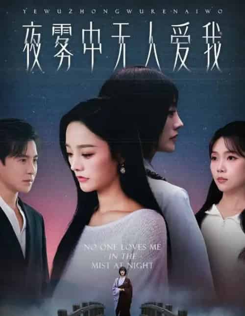 夜雾中无人爱我(72集全)李子锋&李胜楠-紫橙资源网