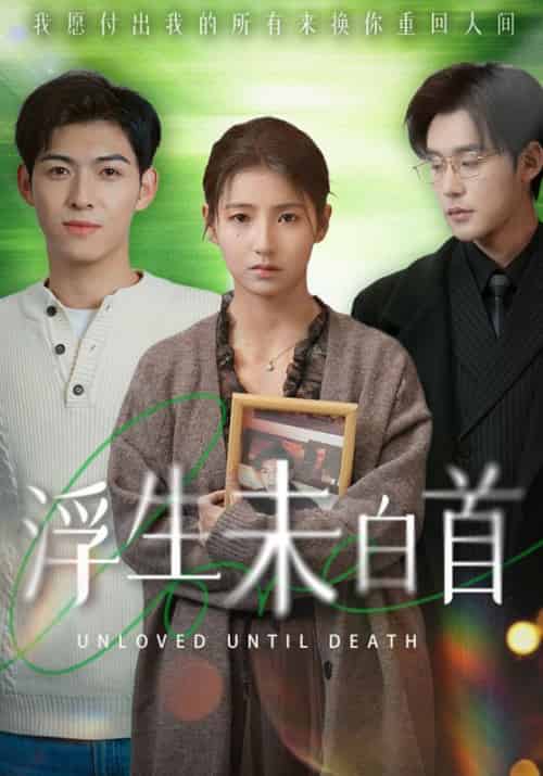 浮生未白首（50集全）谢宴臣＆江蕙晚-紫橙资源网