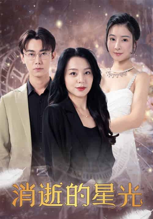 消逝的星光（28集全）刘斌＆黎雪-紫橙资源网