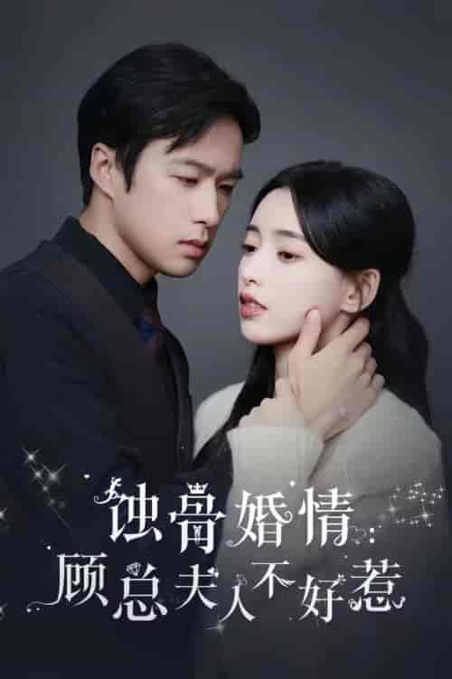 蚀骨婚情：顾总夫人不好惹（93集）-紫橙资源网