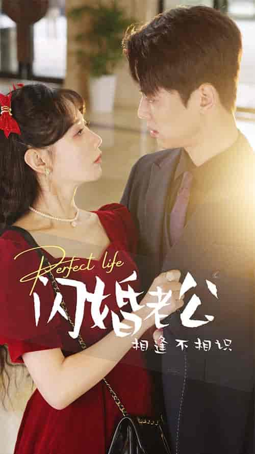 闪婚老公相逢不相识（90集）-紫橙资源网