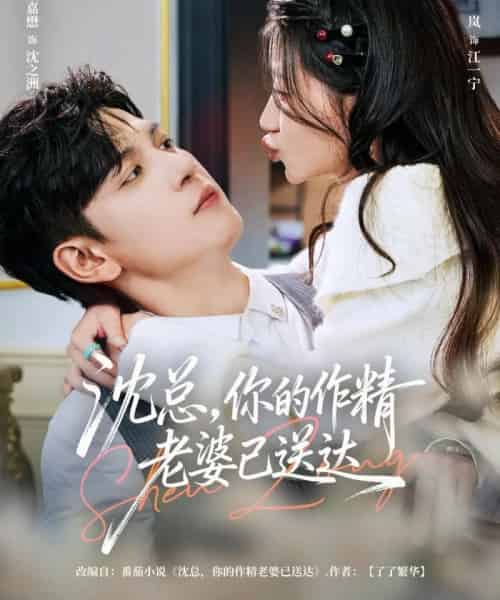 沈总，你的作精老婆已送达（94集全）王嘉懋＆兰岚-紫橙资源网