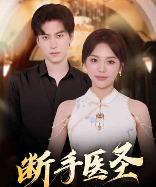 断手医圣（55集全）杜铁柱＆韩悦-紫橙资源网