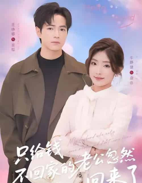 只给钱不回家的老公忽然回来了(60集全)王峥睿&牛静捷-紫橙资源网