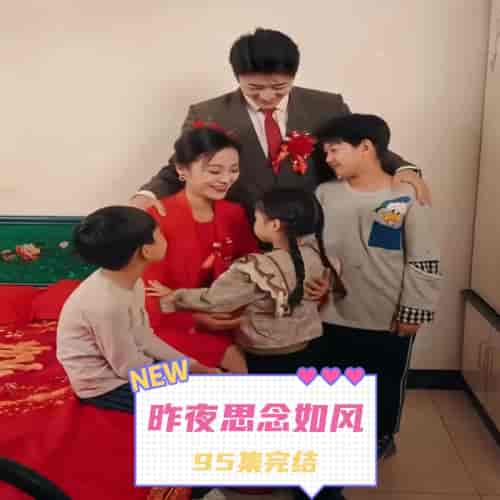 昨夜思念如风 95集-紫橙资源网