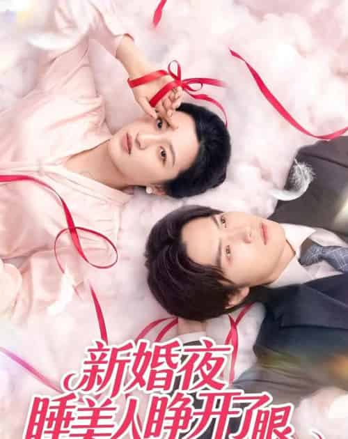 新婚夜睡美人睁开了眼（50集全）刘涵＆李玉豪＆廖文根-紫橙资源网