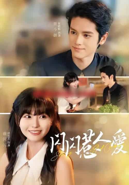 闪闪惹人爱（60集全）胡雪艺＆张硕航-紫橙资源网