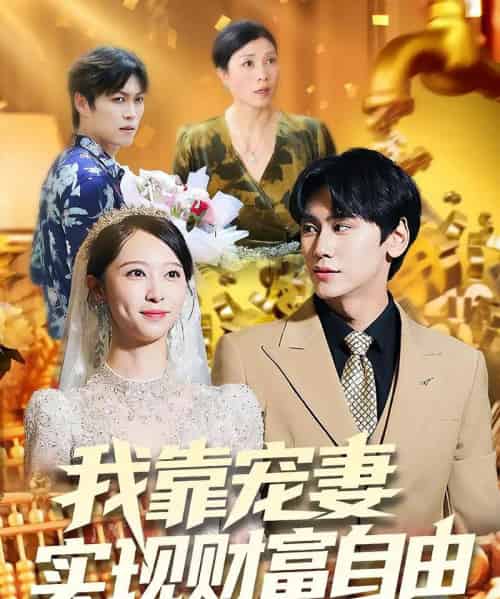 我靠宠妻实现财富自由（80集全）段少卿＆李汶朔-紫橙资源网