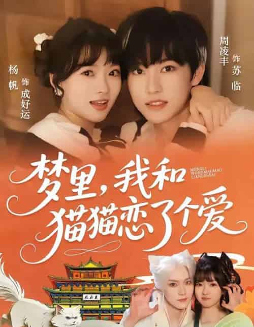 梦里，我和猫猫恋了个爱（72集全）周凌丰＆杨帆-紫橙资源网