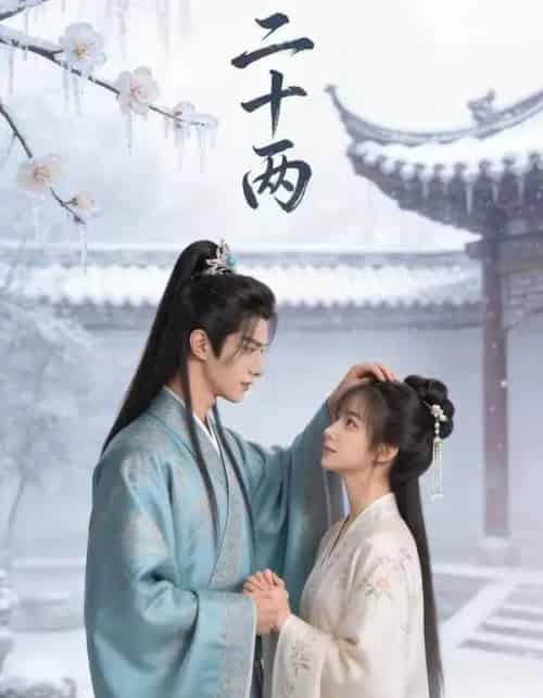 二十两（60集全）AI-紫橙资源网