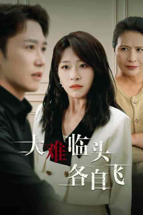 新：大难临头各自飞（53集全）-紫橙资源网