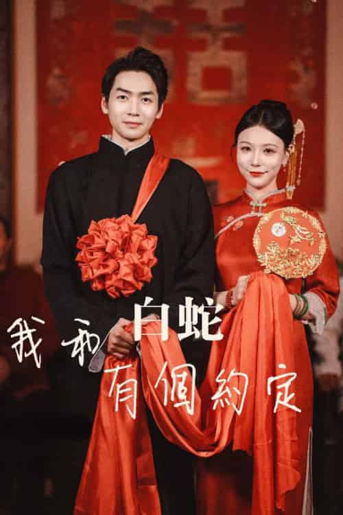 我和白蛇有个约定（65集全）-紫橙资源网