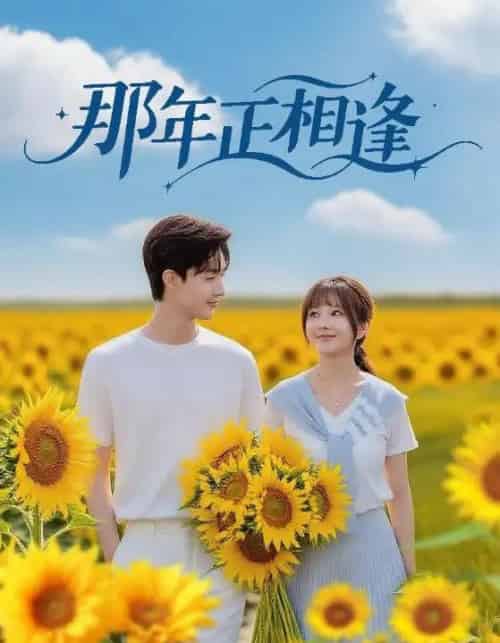 那年正相逢（60集全）沈国洋＆鹿蓝予-紫橙资源网