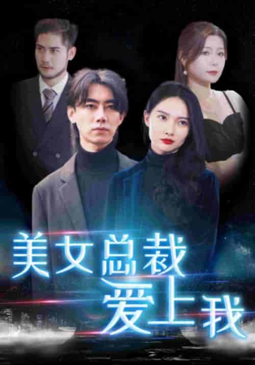 美女总裁爱上我（80集全）秦玉＆颜若雪-紫橙资源网