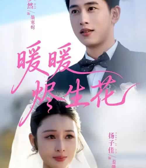 暖暖烬生花(65集全)李梦然&扬子佳-紫橙资源网