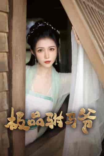 极品驸马爷（72集）齐梓菡-紫橙资源网