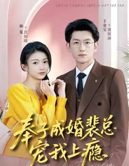 奉子成婚裴总宠我上瘾(59集全)王金宝&林夏-紫橙资源网