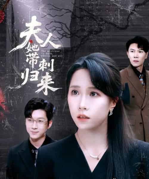 夫人她带刺归来(70集)陈伟华&惠一秋-紫橙资源网