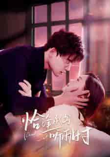 恰逢承书听雨时(80集)四一-紫橙资源网