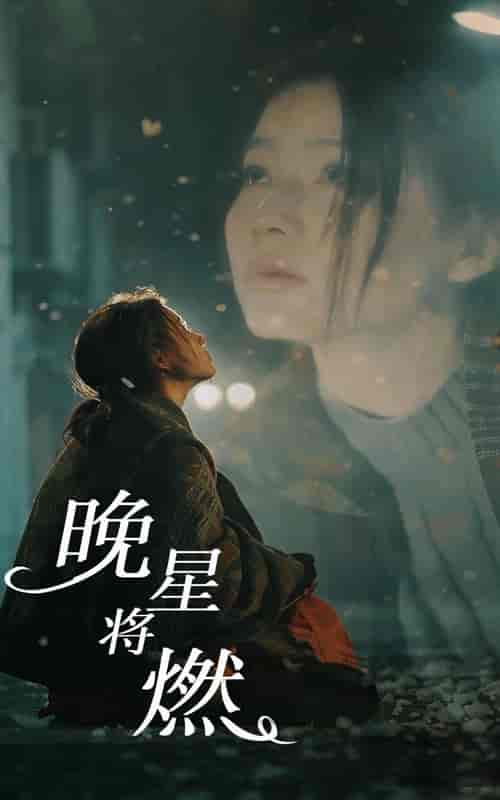晚星将燃（93集）-紫橙资源网