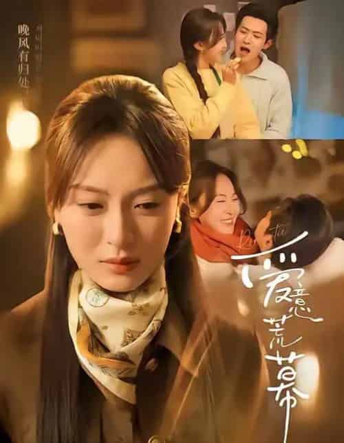 爱意荒幕（70集全）程琳淼＆邵之鹏-紫橙资源网