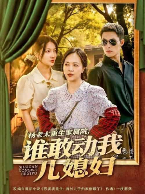 杨老太重生家属院，谁敢动我儿媳妇（85集全）兰岚＆邹盛文-紫橙资源网