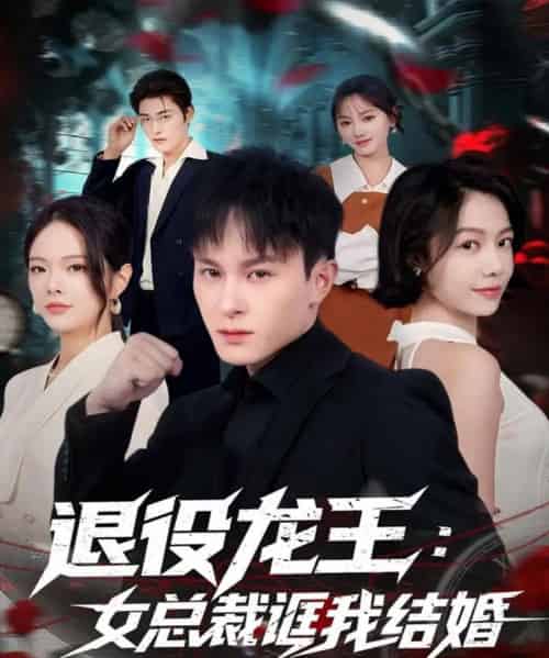 退役龙王：女总裁诓我结婚（80集全）聂杨＆将诗琪-紫橙资源网