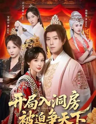 开局入洞房，被迫争天下（88集全）傅汉源＆姜熙饶-紫橙资源网