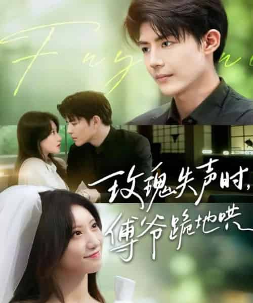 玫瑰失声时傅爷跪地哄（70集）詹妮＆于济玮-紫橙资源网