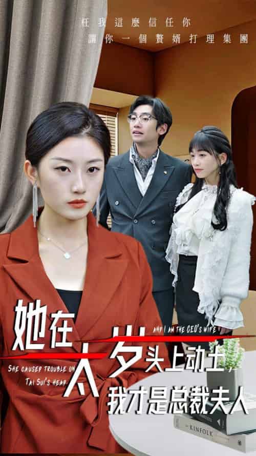 她在太岁头上动土，我才是总裁夫人（36集全）林元元-紫橙资源网