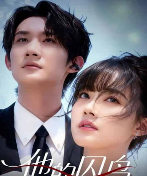 他的囚鸟（60集全）韩一思＆李嘉琳 - 紫橙短剧