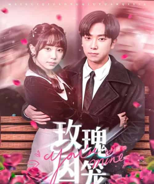 玫瑰囚笼（81集全）张旭＆沈南姝-紫橙资源网