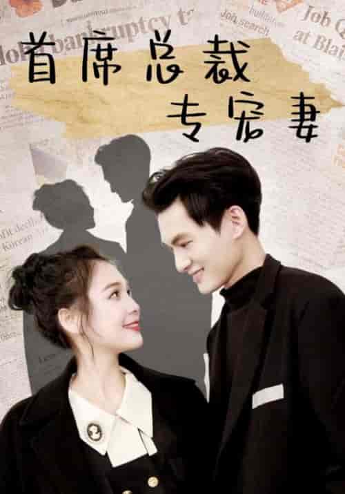 首席总裁专宠妻（86集全）夜南天＆陆倾城-紫橙资源网