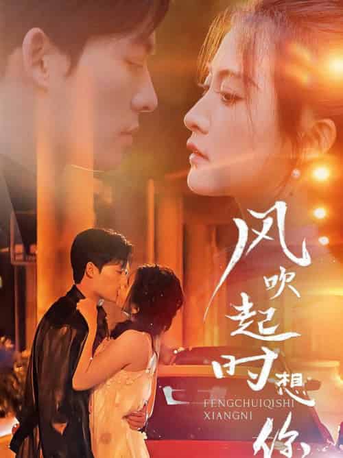 风吹起时想你（56集全）雷笑语-紫橙资源网