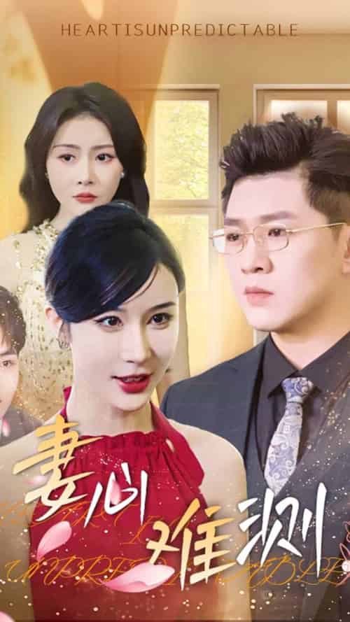 妻心难测（33集全）林彤-紫橙资源网